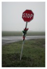 STOP