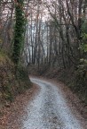 che ci sar oltre la curva?
Una strada ampia ed accogliente o un profondo burrone?
E' la vita bellezza....
I commenti sdolcinati mi fanno aumentare il diabete, quelli acidi la gastrite. Scherzo ovviamente.Mi piace essere giudicato perch voglio migliorare.