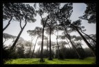 EdeN