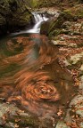 ieri pomeriggio con un p di amici ci siamo divertiti su questo torrente a giocare con le foglie...spero sia di vostro gradimento!
un saluto,Andrea!