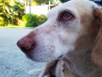 asia :)