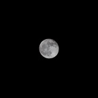 Ancora luna