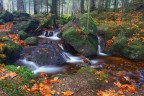 Autunno fatato