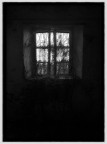 iPhone 01