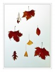 iPhone 03