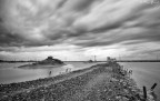 Le saline