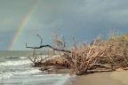02-12-2012__01P8258
