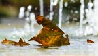 Il mio autunno