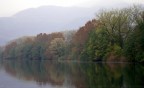 Foschie sul fiume Foschie sul fiume