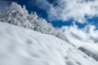 Pubblico nell'album la prima foto della Fuji X-E1. Direi che il 18-55 ha una resa del cielo spettacolare, sembra quasi polarizzato!
Foresta del Teso, sopra il Rifugio del Montanaro, a quota 1600m. circa.

Fuji X-E1 + 18-55

Altre foto su www.aleefede.it