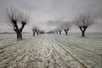 frozenland