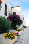 colori