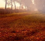 [Contest 67] - &quot;I colori dell'autunno&quot;