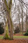 Un abbraccio nel parco
