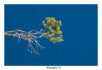 1/320 sec, f8, ISO 200, 70-300mm@230mm, crop.

Alla prossima!