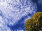 D'autunno