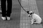 Uffa...che noia