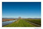 Toscana 9 dicembre