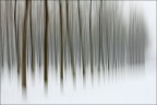 Winter impressions