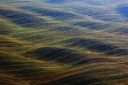La coperta
