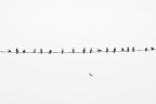 think different