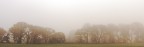 nebbia teverina