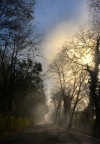 nebbia