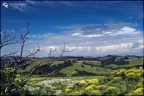 colline toscane colline toscane