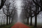 Una nuova strada.....