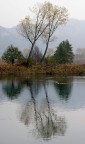 Simmetrie e riflessi Simmetrie e riflessi