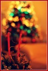 christmas...