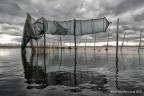 Foto scattata con compatta Nikon