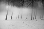 Desolate