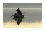 a pesca di lucci