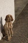 Lola...in posa!