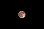 135mm f11 1/2500 iso 400
e qualche crop...