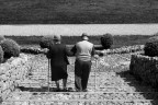 la tenerezza con la quale si tenevano scendendo la scalinata ...