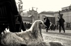 Nikon d5100 + 35mm. 1.8