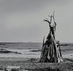 mare d'inverno