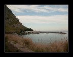 Capogallo