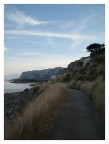 Il Viale  -  Riserva naturale di Capogallo (Pa)