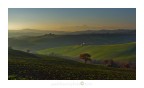 Sweet Hill