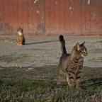 quando finisce un amore quando finisce un amore