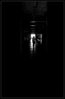 Verso la luce