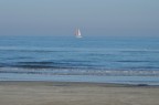 NIKON D3200
f/10 - 1/500s - ISO 200 - 55-300@105mm

Che errori ho commesso? Siate impietosi, devo imparare!