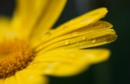DOF &lt; 2 mm