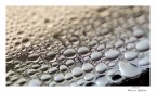 drops