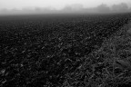 paesaggio con nebbia