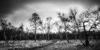 Long Exposure con la D800 & LEE Big Stopper.