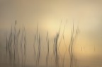 Alone di mistero sul lacustre Veneto.